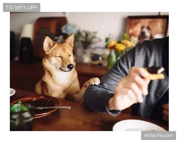 戴资颖打完比赛直接去逛爱马仕，这姐的日常比偶像剧还敢拍