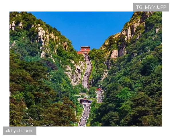 山东泰山是否重回巅峰，当前阶段表现波动对竞争格局产生影响
