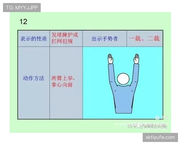 足球裁判手势规则详解及其判罚含义解析